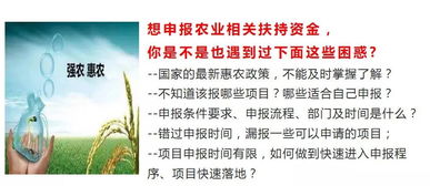 2021国家扶持十大项目