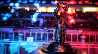 robomasters中的操控软件是什么？有下的吗？