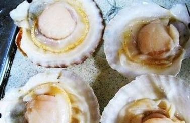 扇贝肉怎么清理内脏图