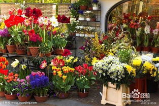 新手应该如何开花店？