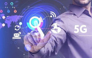 贵阳讯鸟云计算科技有限公司怎么样？