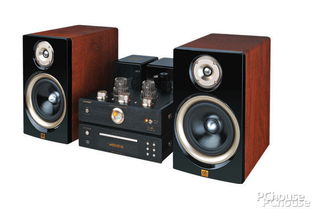 国产什么牌子的音响好