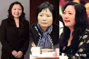 谁有李彦宏夫人马东敏的夫妻照或全家福？？（急需