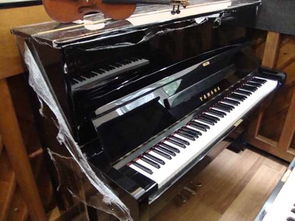 电钢琴与钢琴区别在哪