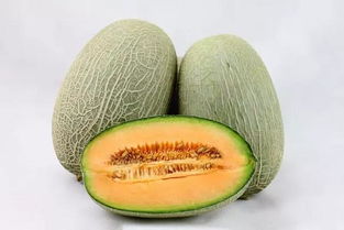 哈密瓜种子可以吃吗