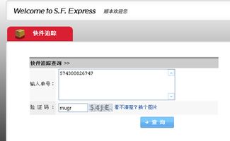 顺丰查单号 运单