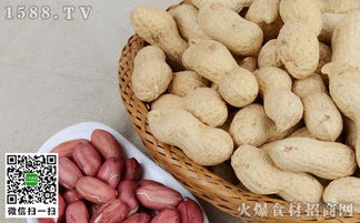 中国花生主要产区