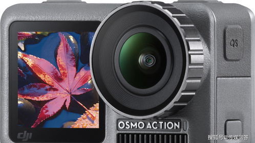 苹果6s闲置太久开不了机怎么办