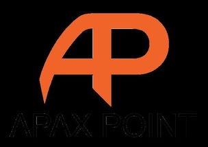 apax 软件,apax partners