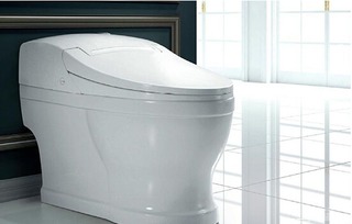 中国智能马桶十大品牌