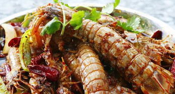 撒尿虾学名是什么 为什么叫它撒尿虾 呢