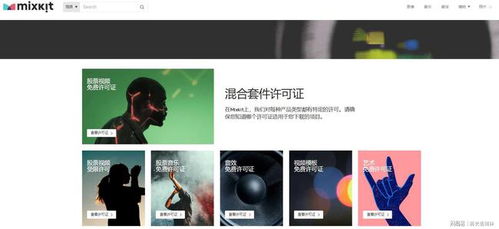 如何把网上的视频下载下来？