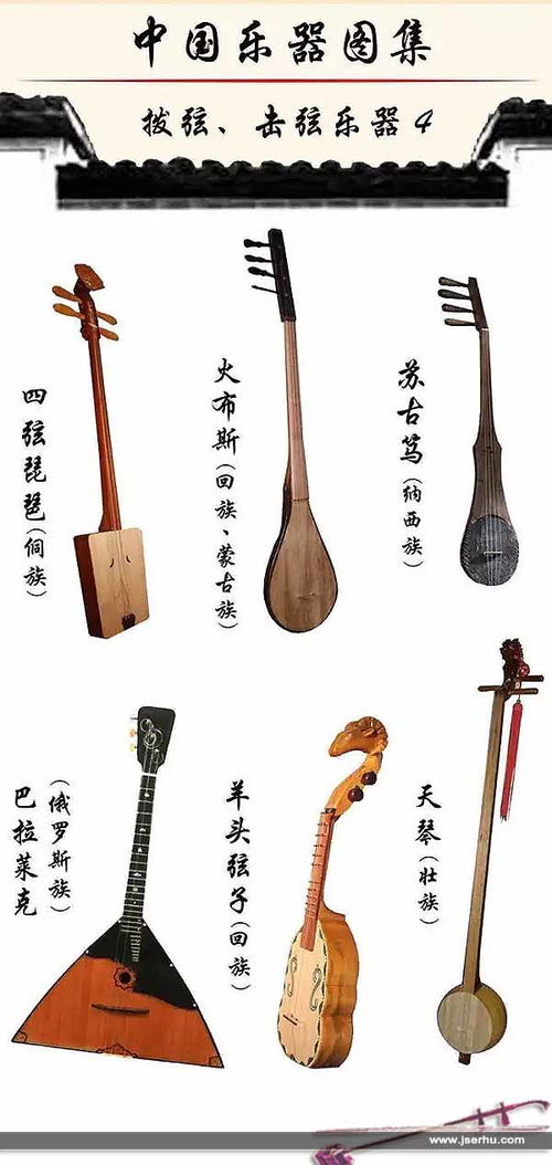 乐器大全图片,乐器大全名称