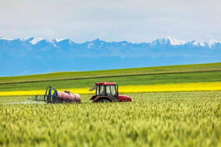 2017新三农政策内容是什么意思