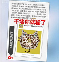 不卡的动画网站,不卡的手机排行