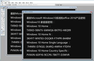 PS里连续复制的快捷键是什么