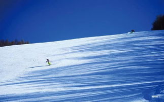 蓝色理想是什么网站