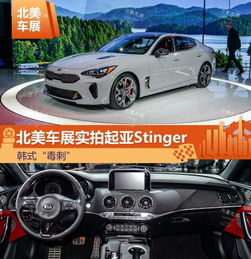 香蕉赛跑毒刺炸车疯狂的小鸟滚鸡蛋