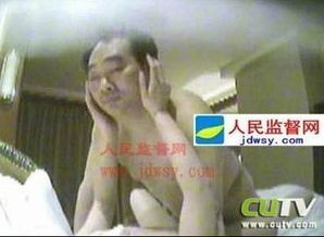 雷政富的工作简历