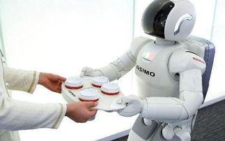 财务机器人 rpa的财务应用,财务机器人小勒人