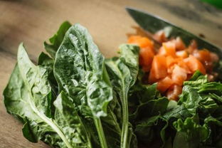 菠菜能和西红柿一起吃吗宝宝