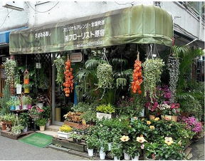 自己想开个花店,应该怎么经营?