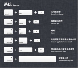 苹果mac快捷键大全,mac快捷键大全示意图 键盘