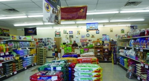 开家宠物食品店如何赚钱