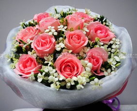 19朵粉玫瑰和满天星搭配是什么意思