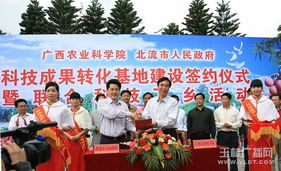 网站建设需要多少钱