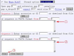 引物设计原则和注意事项