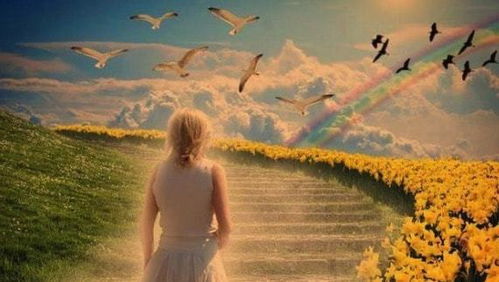 人死后去哪里了,有来生吗,人死后去哪里为什么头七才回来