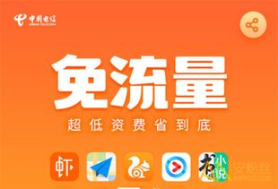 什么是阿里鱼卡？