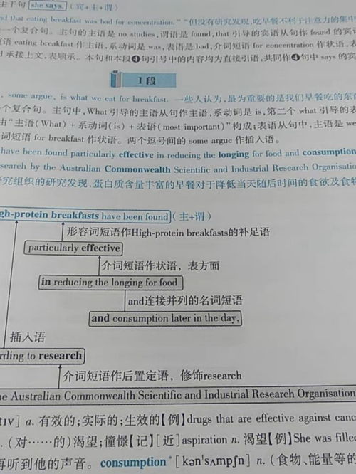 英语零基础怎么过四级完整计划，英语零基础怎么过四级背单词的技巧