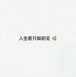 男人说人生若只如初见什么意思,何事秋风悲画扇,人生若只如初见什么意思