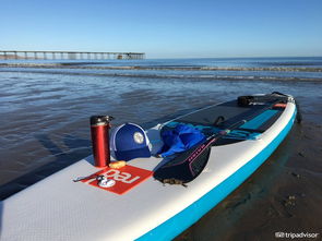 桌面搜索文件怎么搜,桌面搜索框怎么添加