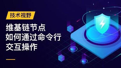 维基链官网地址是什么？