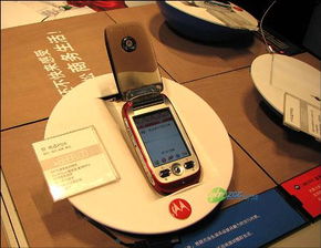 我想买摩托罗拉手机，应该去哪里买？