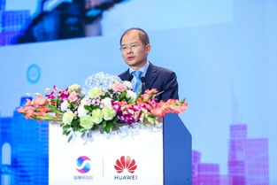 徐直军的个人 履历