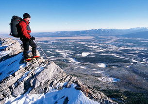 梦到爬山特别陡是什么意思