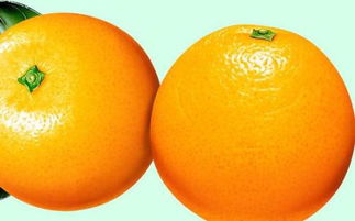 橙子和橘子哪个营养更好