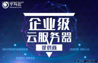 小鸟云实力怎么样？