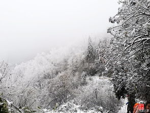 看雪论坛里的牛人都有谁