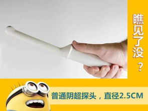 阴超可以检查出什么