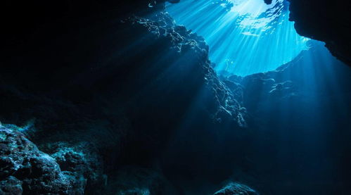 世界上最深的海沟位于哪个大洋？