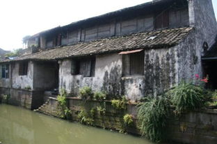 绍兴俞家和孔子家族哪个显赫？