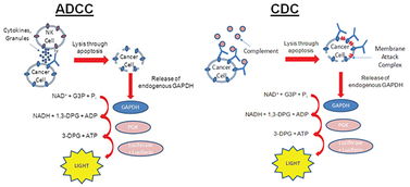 卓越绩效中技术资源如何编写？