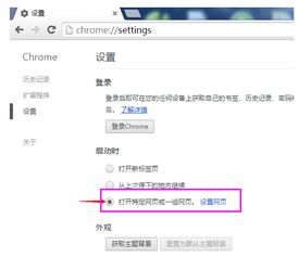 谷歌浏览器如何设置主页