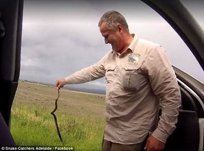 各位網友：我小時候起了個英文名叫Rolly，我現在想