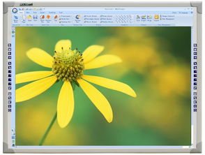 sensitive什么意思